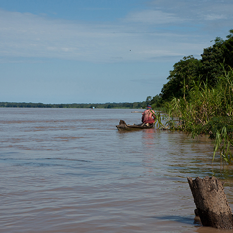 AMAZONAS 11 rio mosaico galeria_MG_3969.jpg
